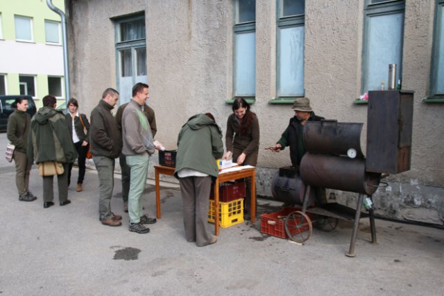 Semenáček nebo sazenice